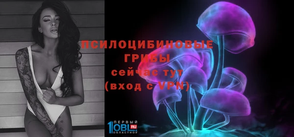 СК Алзамай
