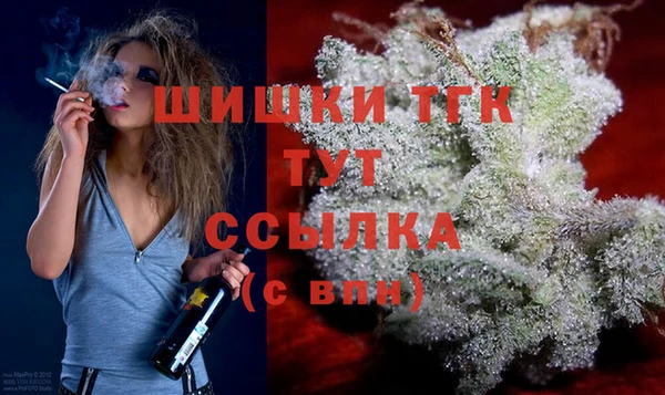 СК Алзамай