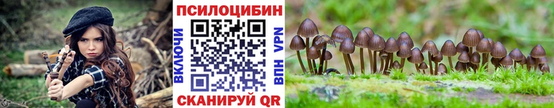 Галлюциногенные грибы Psilocybe  Нарткала 