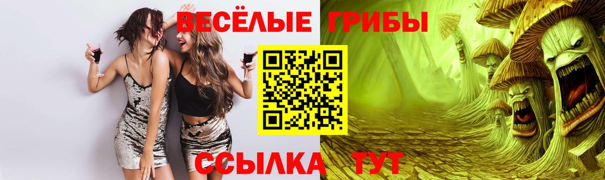 магазин продажи наркотиков  Псилоцибиновые грибы Cubensis  Вход с VPN  Псилоцибиновые грибы Cubensis  Нарткала 